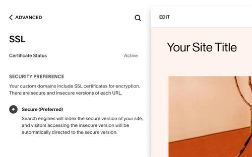 SSL certificate status and preferences in the Advanced settings panel of Squarespace Domains.