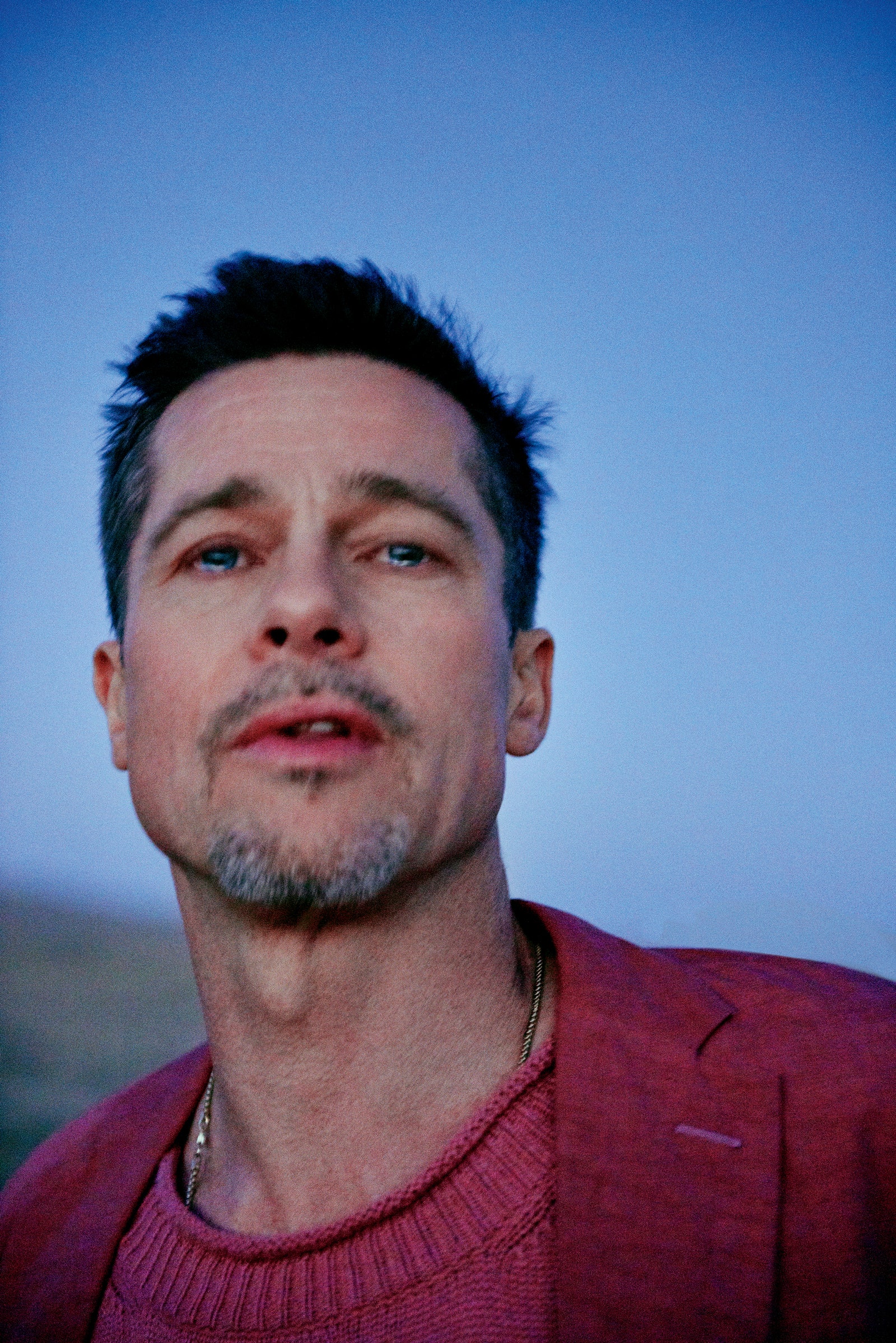 Image may contain Brad Pitt Human Person and Face