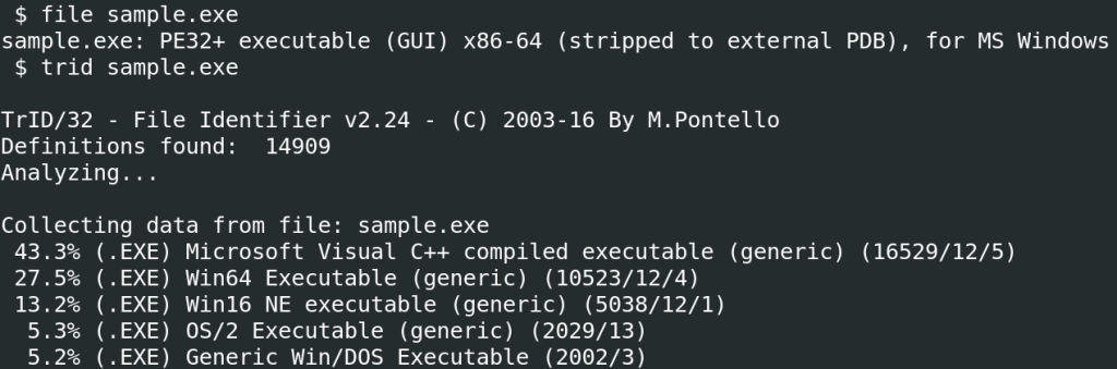 File type identification