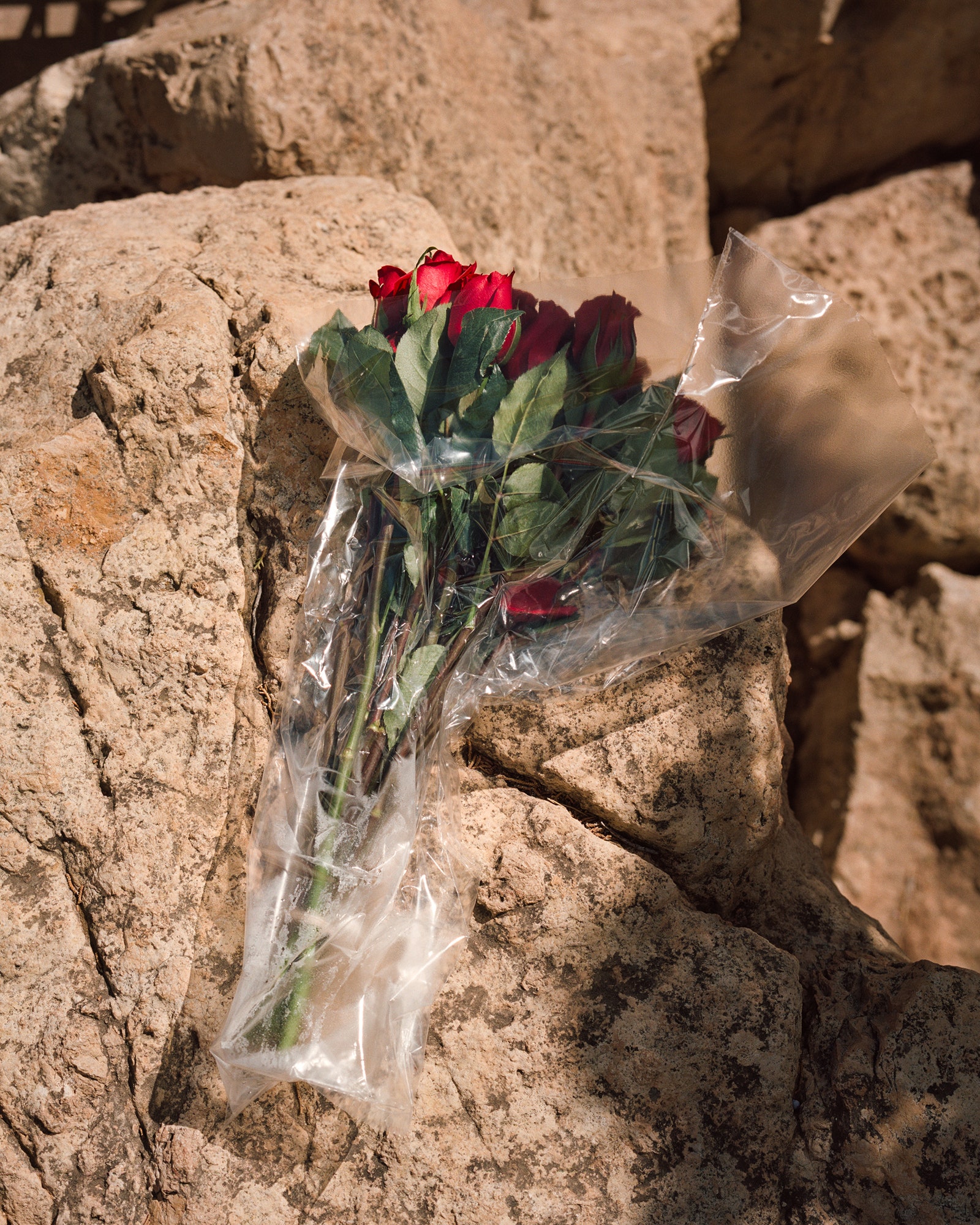 A bouquet of roses on rocks.