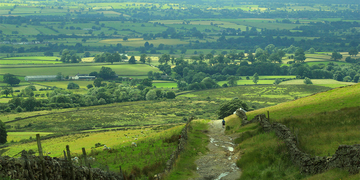 View of green fields in the Eden Valley