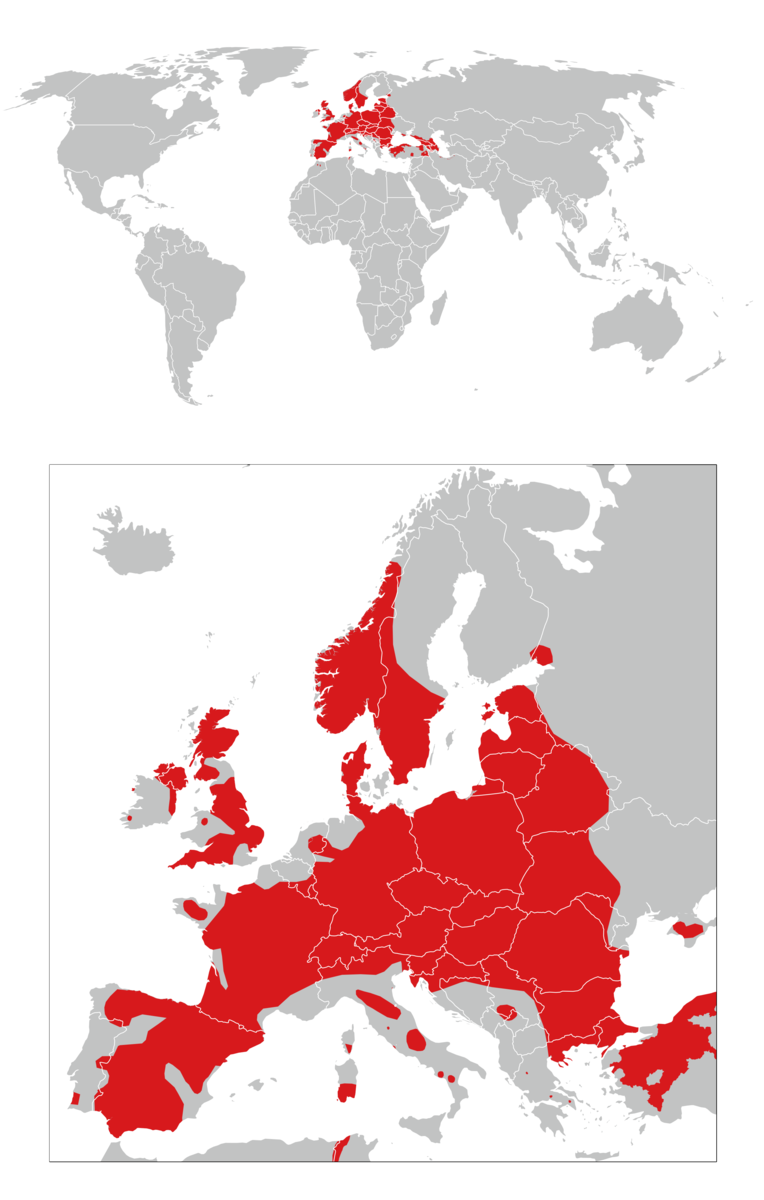 utbredelse av hjort