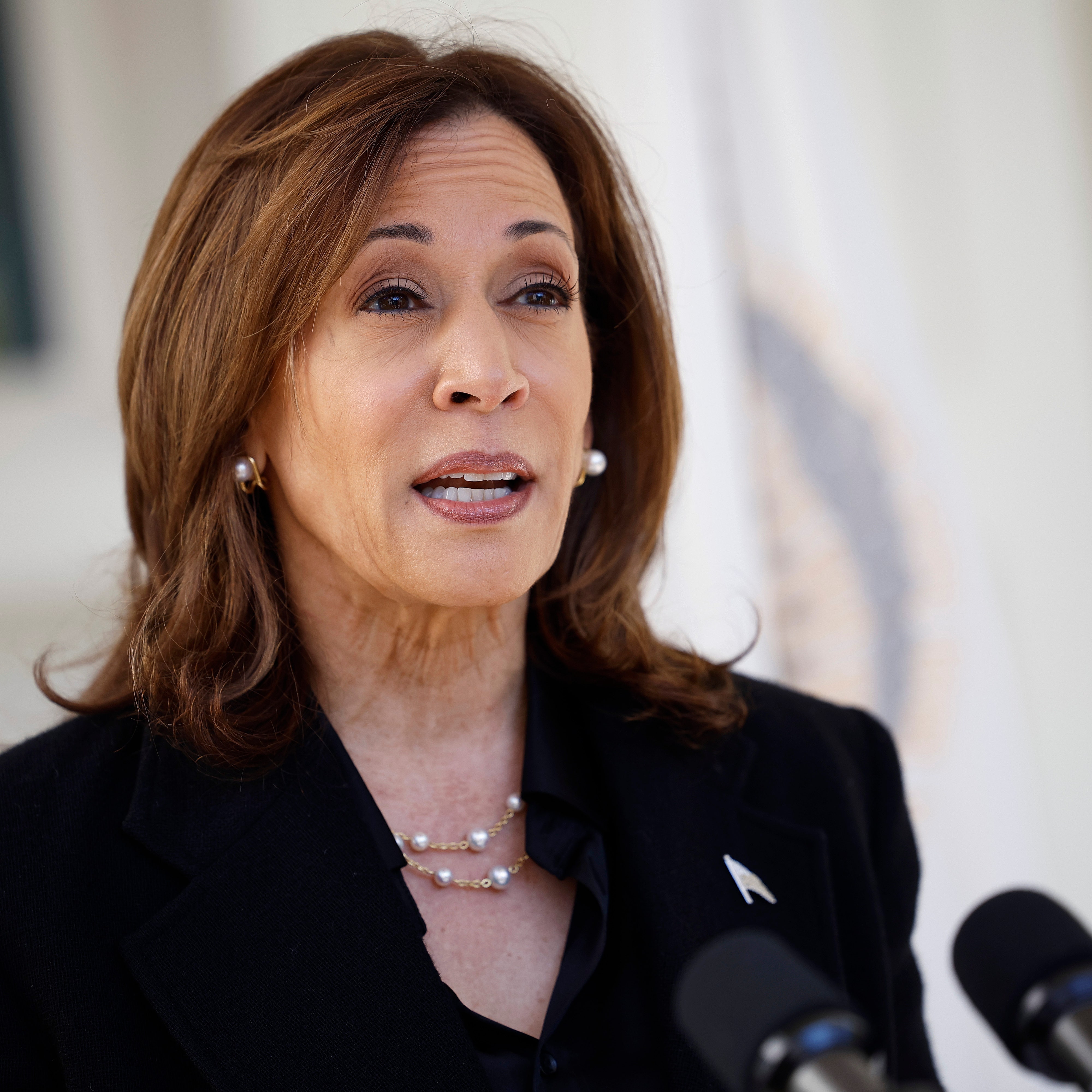 Kamala Harris Asks Americans: Are You Really Going to Elect a Guy Who Has Good Things to Say About Hitler?