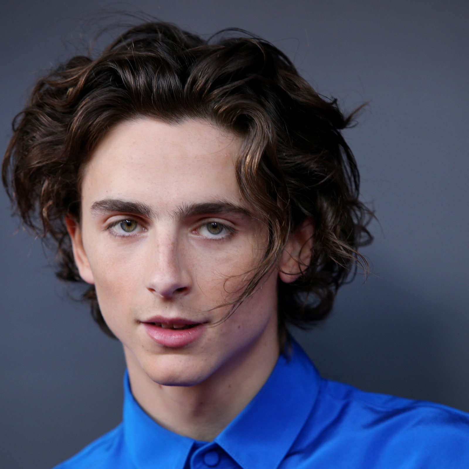 Inside Timothée Chalamet’s Hot Gollum Summer