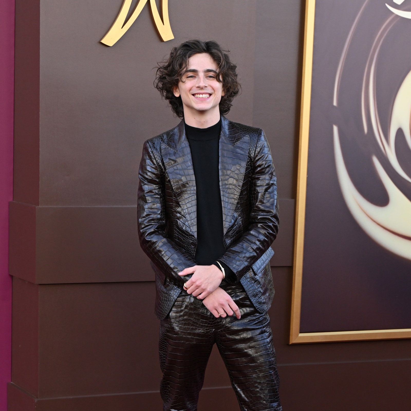 Timothée Chalamet Cosplays As A Bar Of Chocolate At The Wonka Premiere