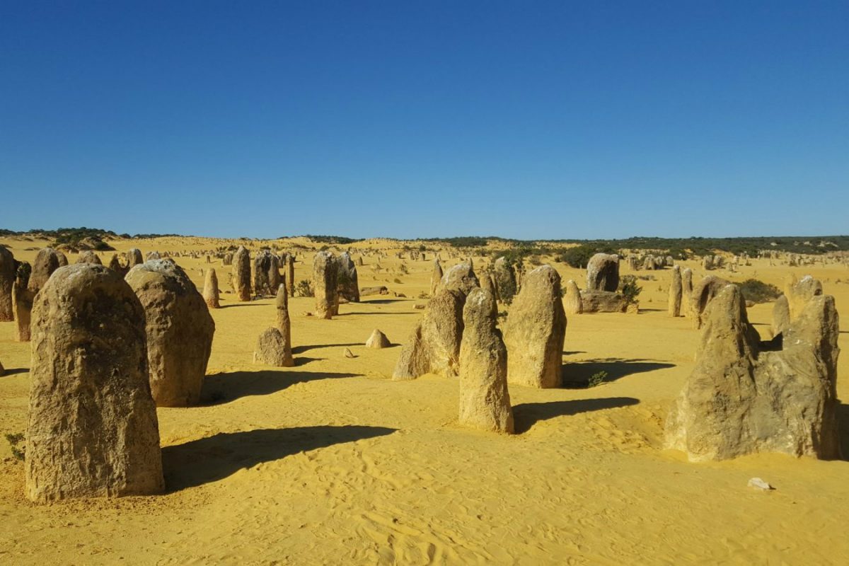 Article : Les Pinnacles et Jurien Bay, la nature à l’état brut