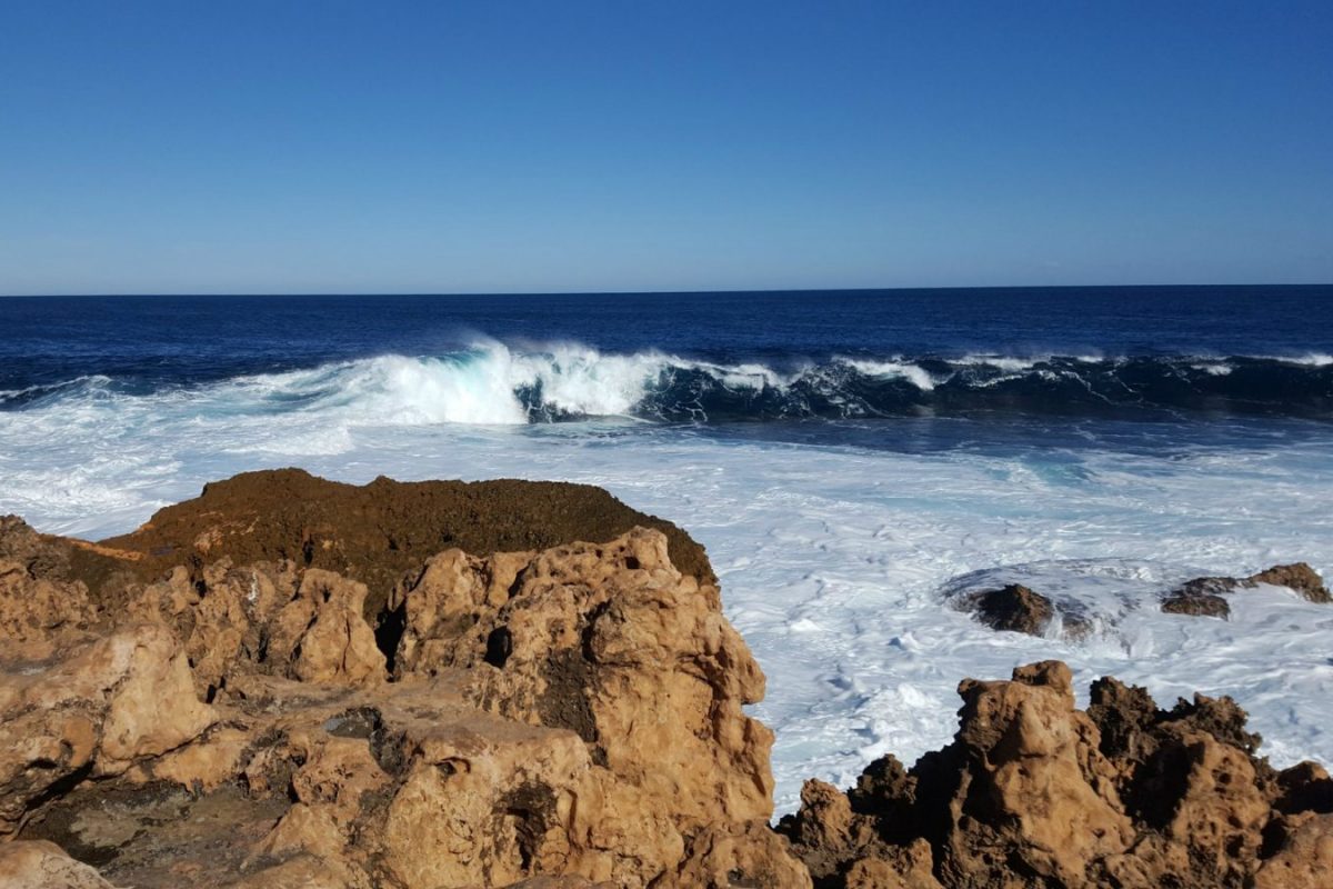 Article : Carnarvon & Coral Bay, l’eau dans tous ses états