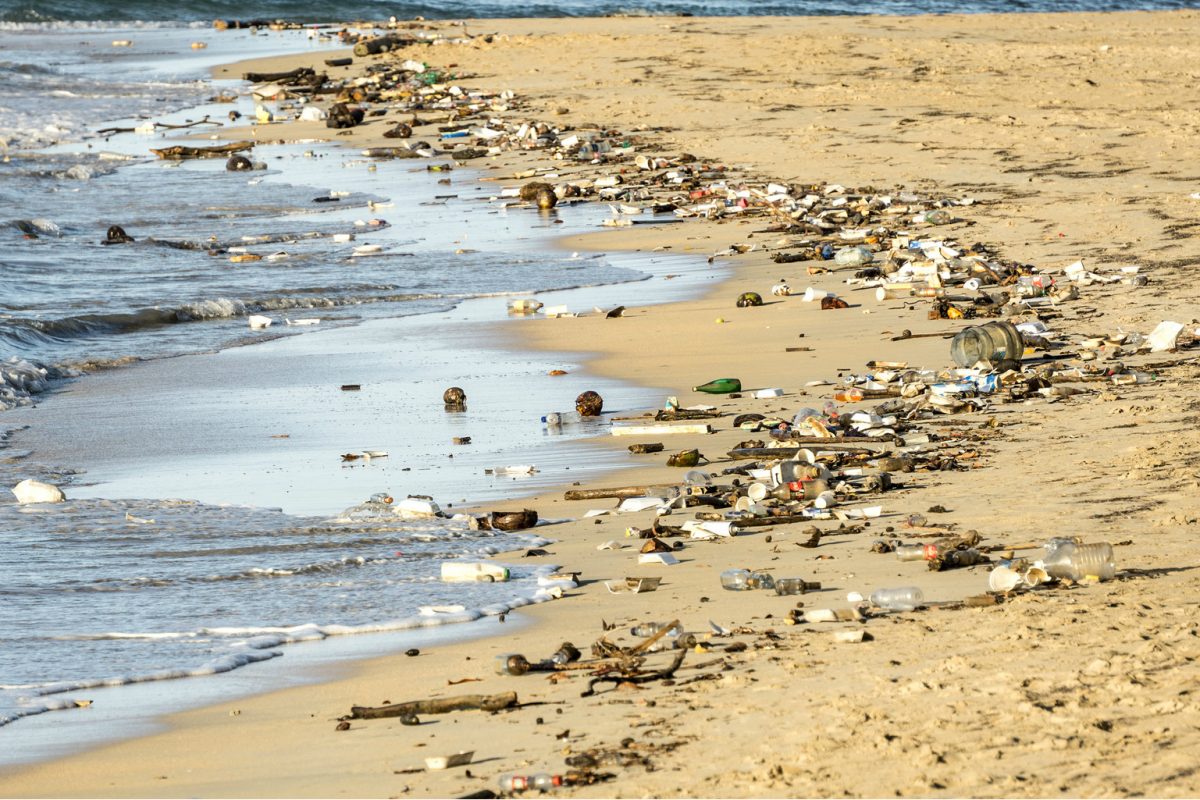 Article : Environnement : combattre la pollution plastique