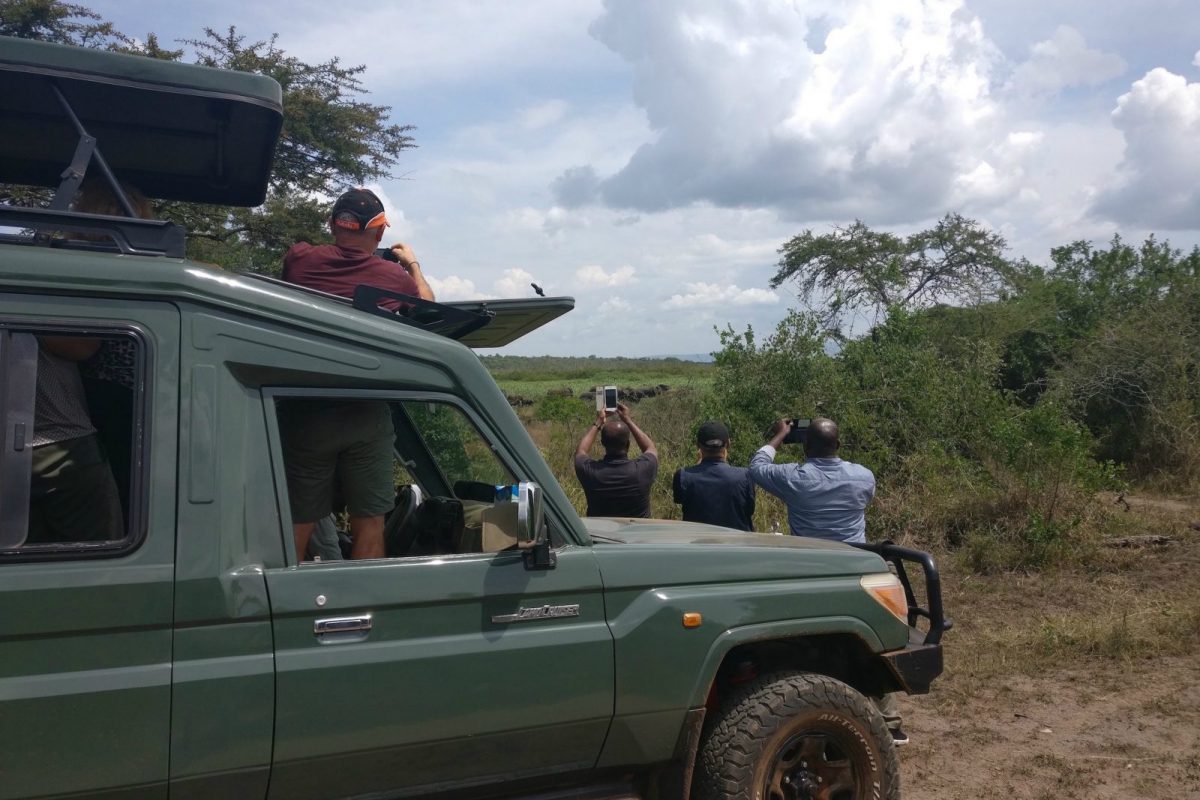 Article : Les touristes aux éléphants