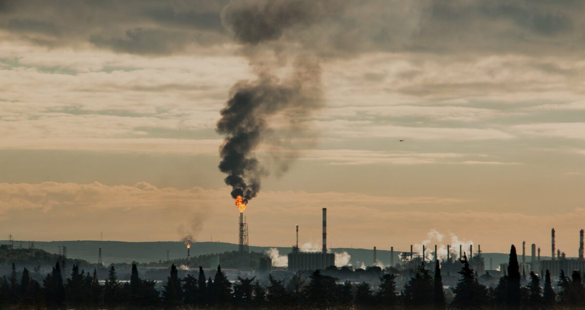 Article : Exploitation pétrolière en pleine forêt congolaise