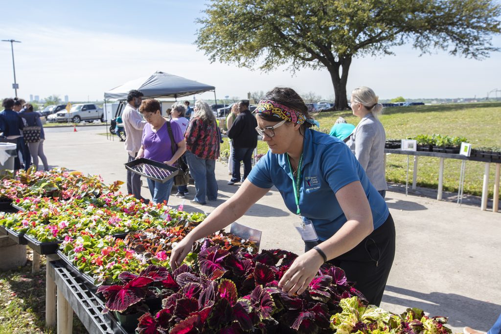 TCC Inaugural Fall Plant Sale Gives Gardeners a Head Start