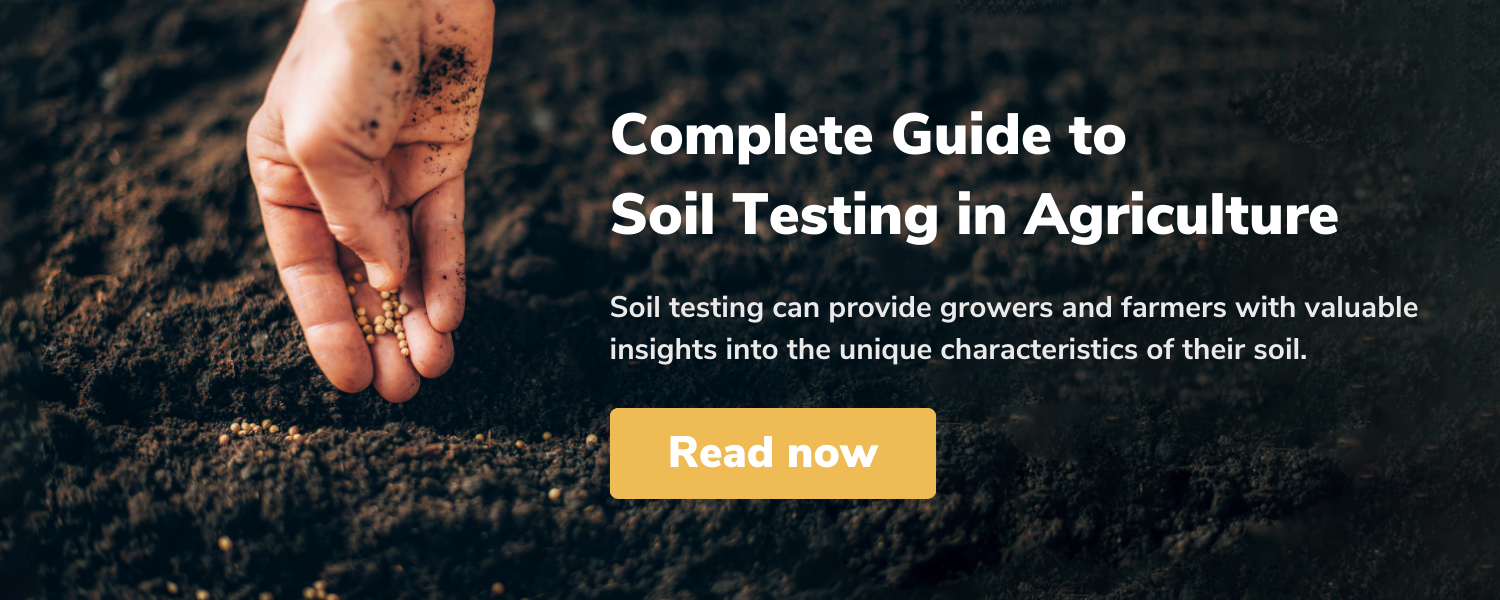 Complete Guide to Soil Testing in Agriculture