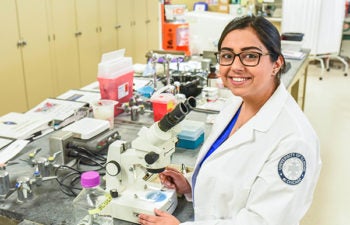 PhD student in wet lab