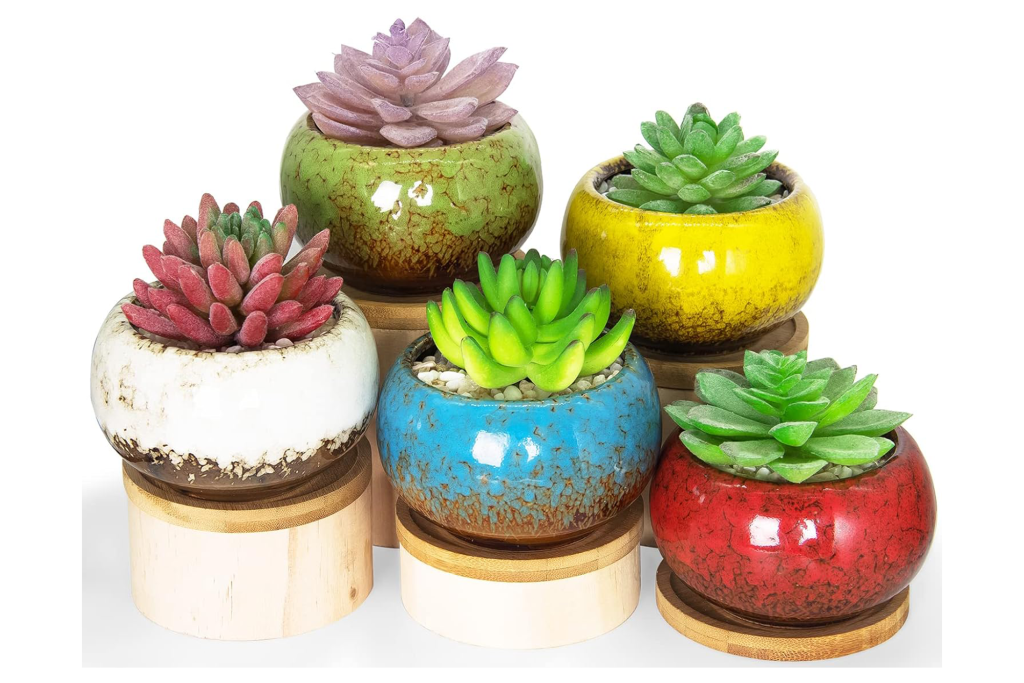 Succulent Pots with Drainage (5-Pack)