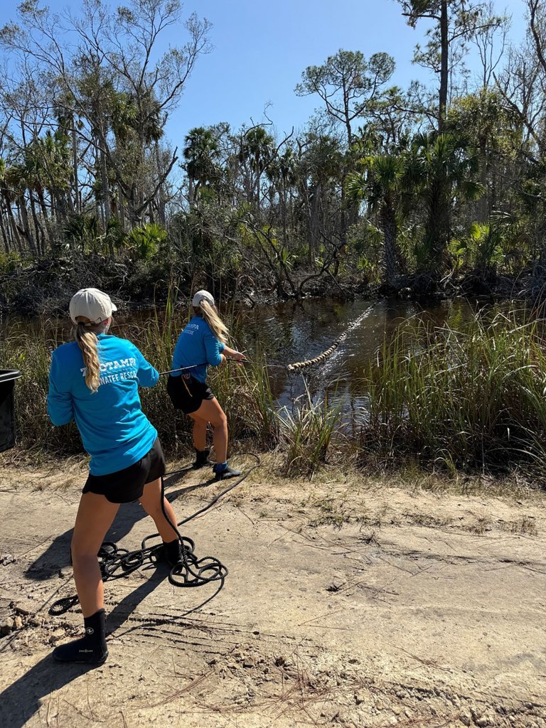 Rescuers from ZooTampa pull Gully from the tropical seeming pond that 
was unable to sustain the pup.