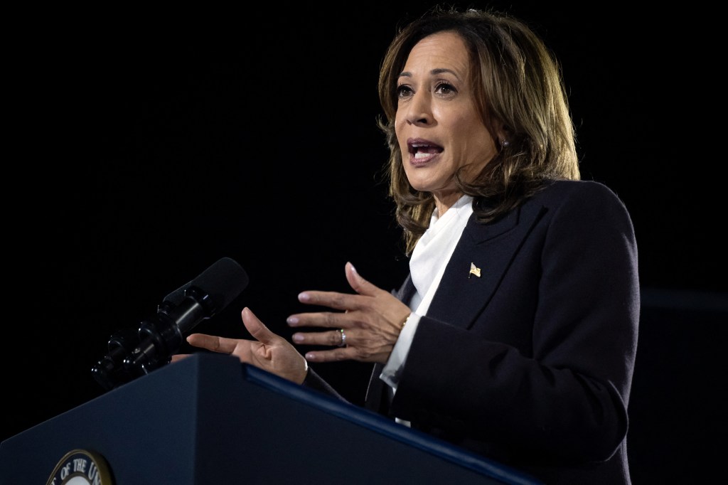 US Vice President and Democratic presidential candidate Kamala Harris speaks on The Ellipse just south of the White House in Washington, DC, on October 29, 2024. The Harris-Walz campaign is billing the speech as "a major closing argument" one week before the November 5 election. (Photo by SAUL LOEB / AFP) (Photo by SAUL LOEB/AFP via Getty Images)
