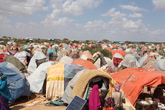 Article : Dans la peau d’un migrant (suite et fin)