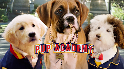 Pup Academy