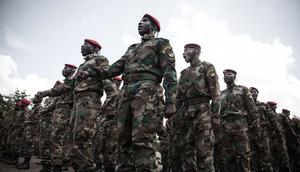 Top 5 African countries with the highest reserve military manpower