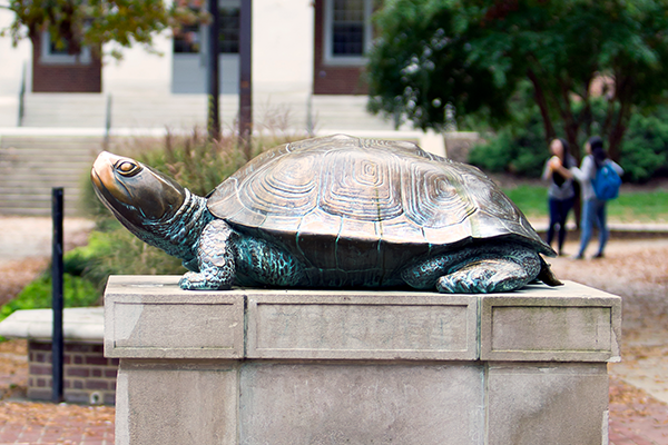 testudo statue