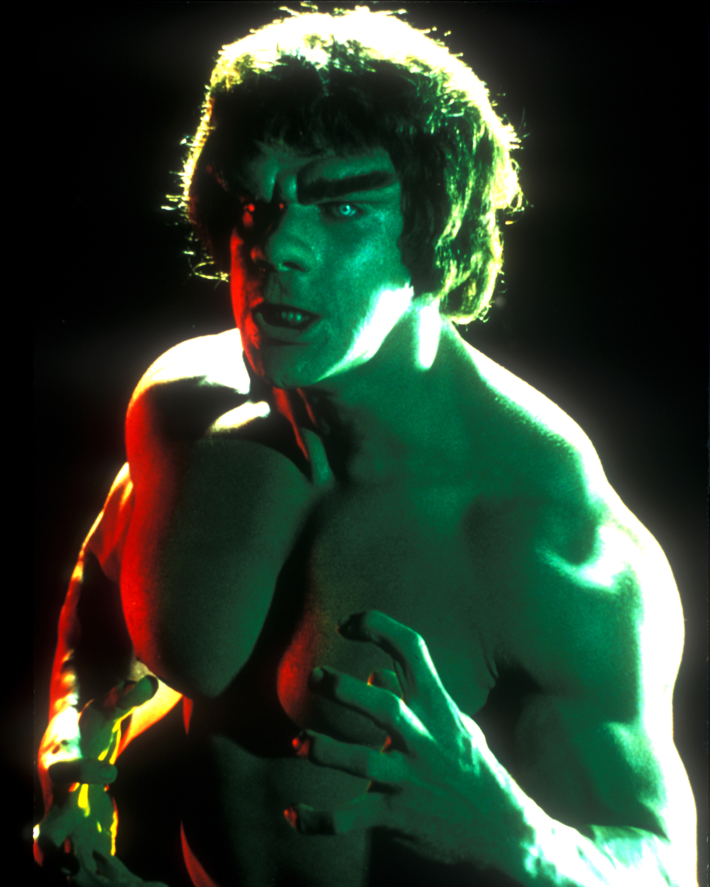 Lou Ferrigno as the Hulk