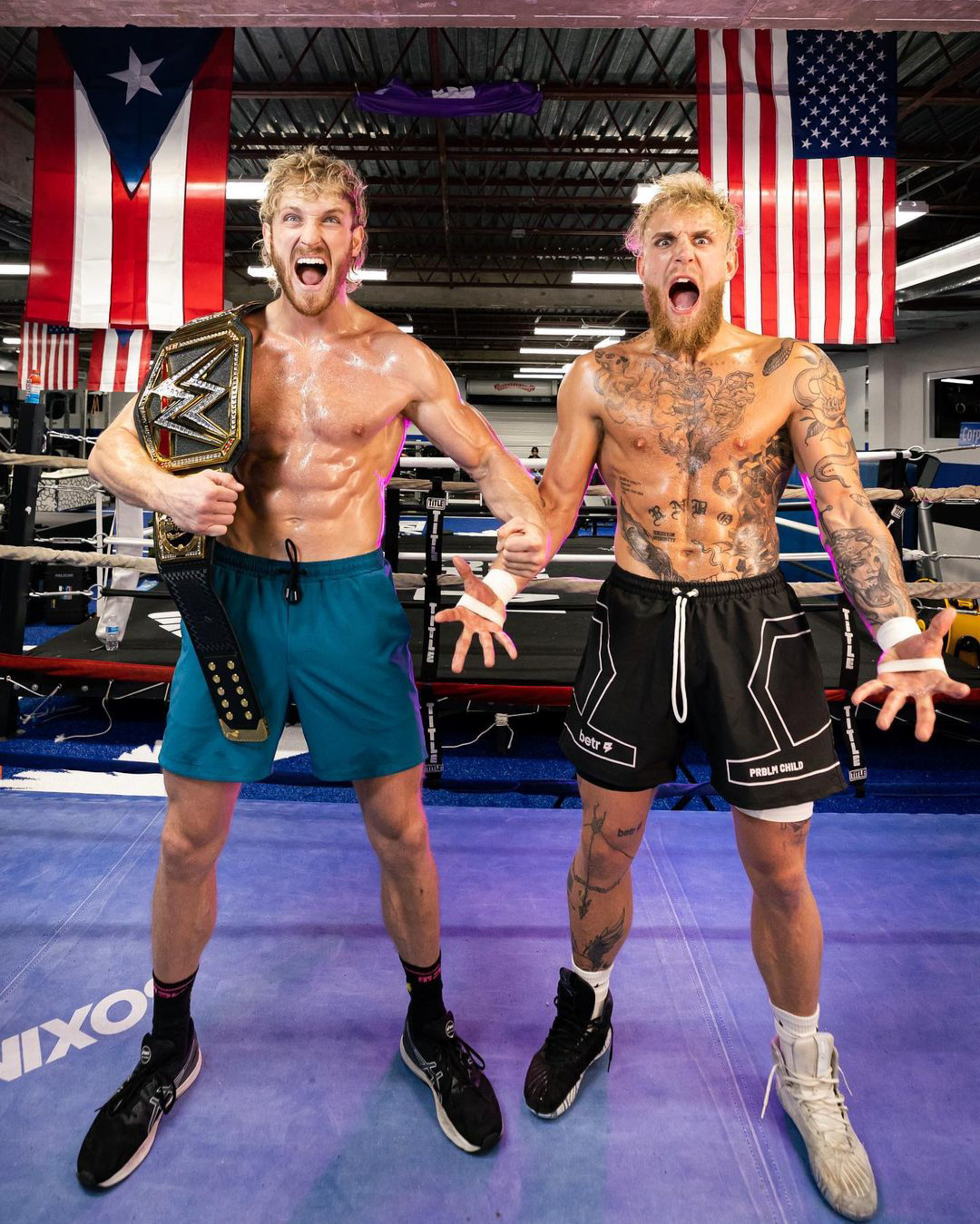 Jake Paul, Logan Paul in a boxing ring