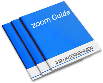 Zoom Guide