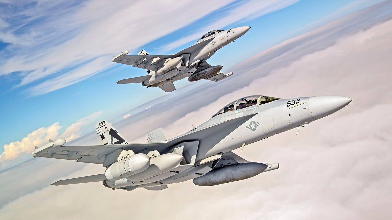 Two Navy EA-18G in flight