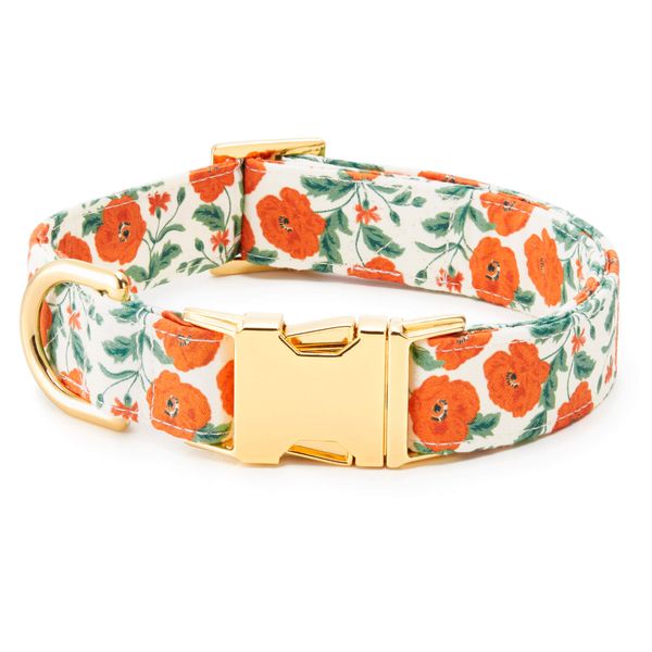 The Foggy Dog Poppies Dog Collar