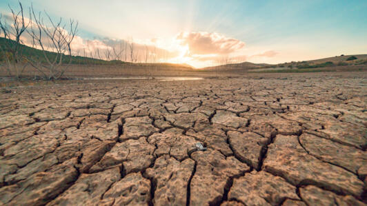 Schimbările climatice conduc la producerea unor fenomene extreme și la încălzirea planetei.