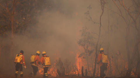 Los bomberos intentan apagar un incendio forestal que se propaga en la zona ambientalmente protegida del Parque Nacional de Brasilia, Brasil, el lunes 16 de septiembre.