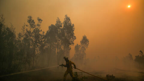 Um bombeiro durante o combate ao incêndio em Águeda, 18 de setembro de 2024. Sete pessoas morreram e 40 ficaram feridas, duas com gravidade, nos incêndios que atingem desde domingo as regiões Norte e Centro do país, nos distritos de Aveiro, Porto, Vila Real e Viseu, e que destruíram dezenas de casas e obrigaram a cortar estradas e autoestradas, como a A1, A25 e A13.