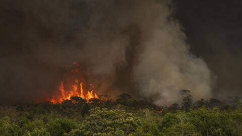 Grandes focos de incêndio atingem áreas do Parque Nacional de Brasília (DF). (16/09/2024)