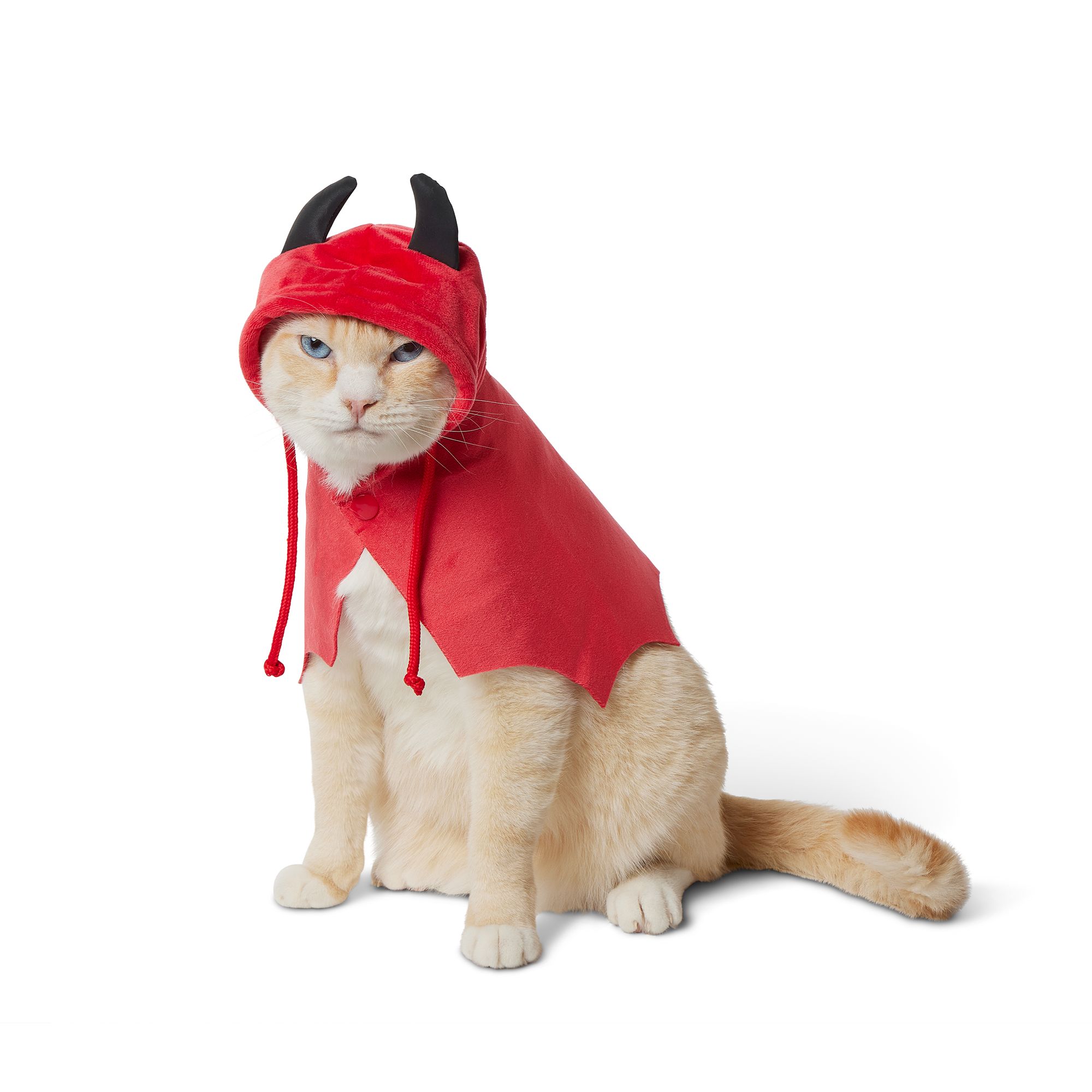 Thrills & Chills Reflective Cat Devil Cape