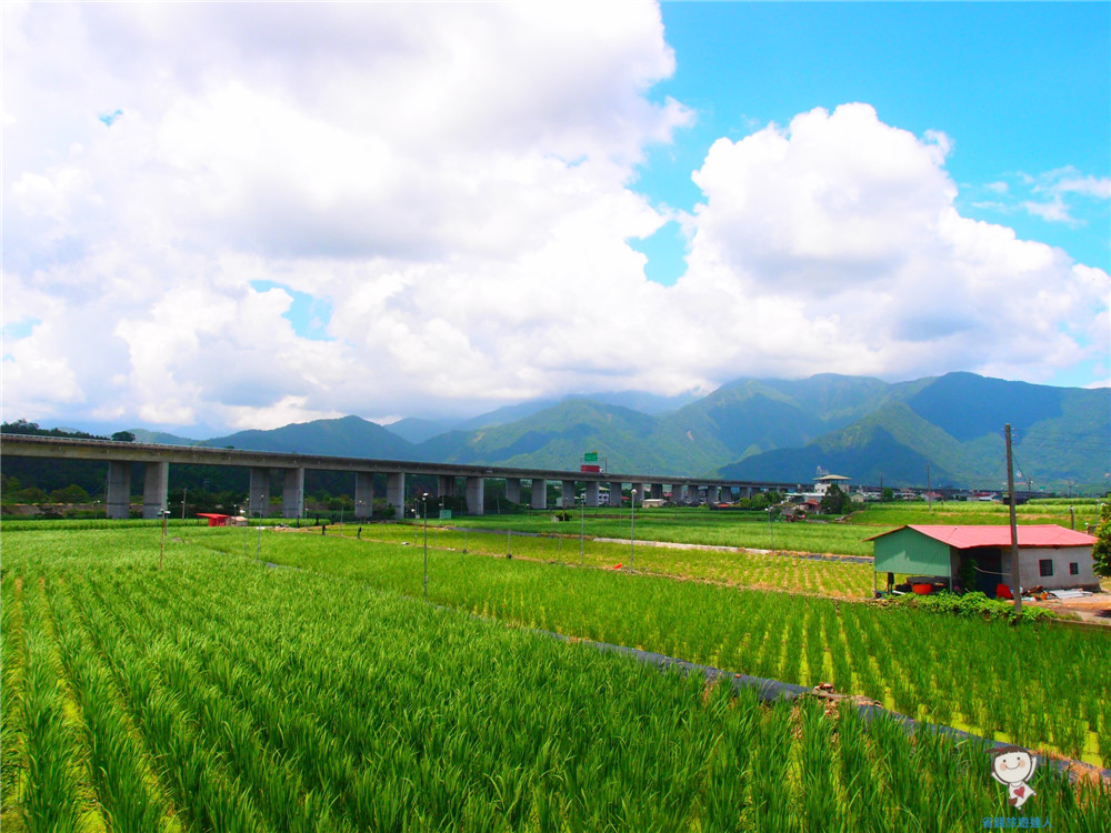 公田溝活魚餐廳｜免出國,也能享受到風景如畫的環境