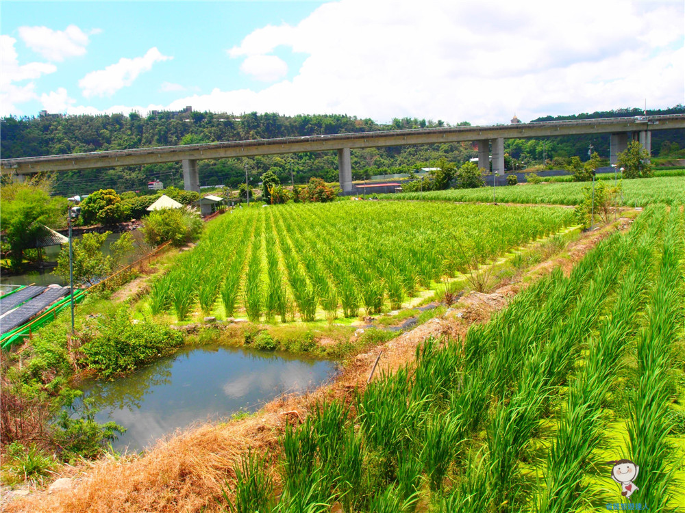 公田溝活魚餐廳｜免出國,也能享受到風景如畫的環境