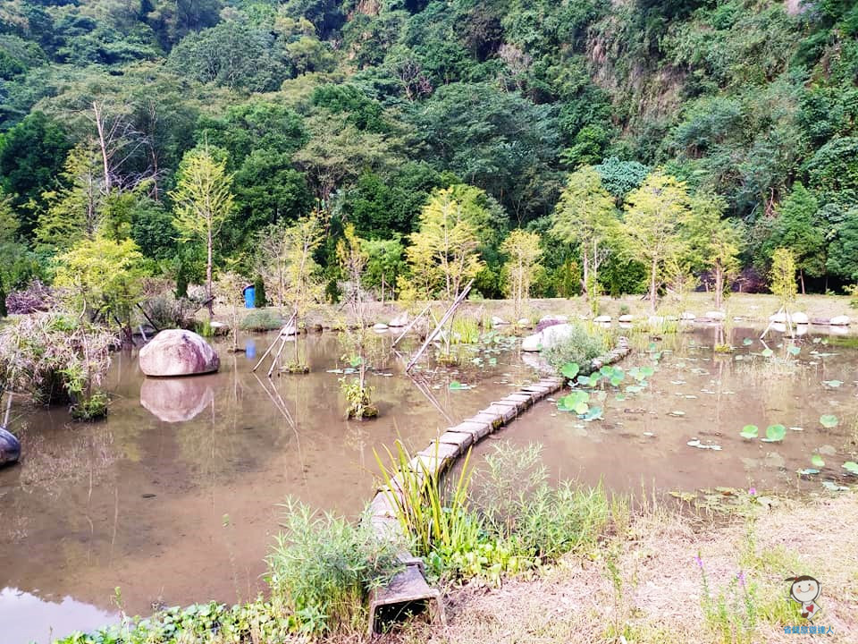 安妮公主花園｜台中新社森林系景觀餐廳,親子遊好去處