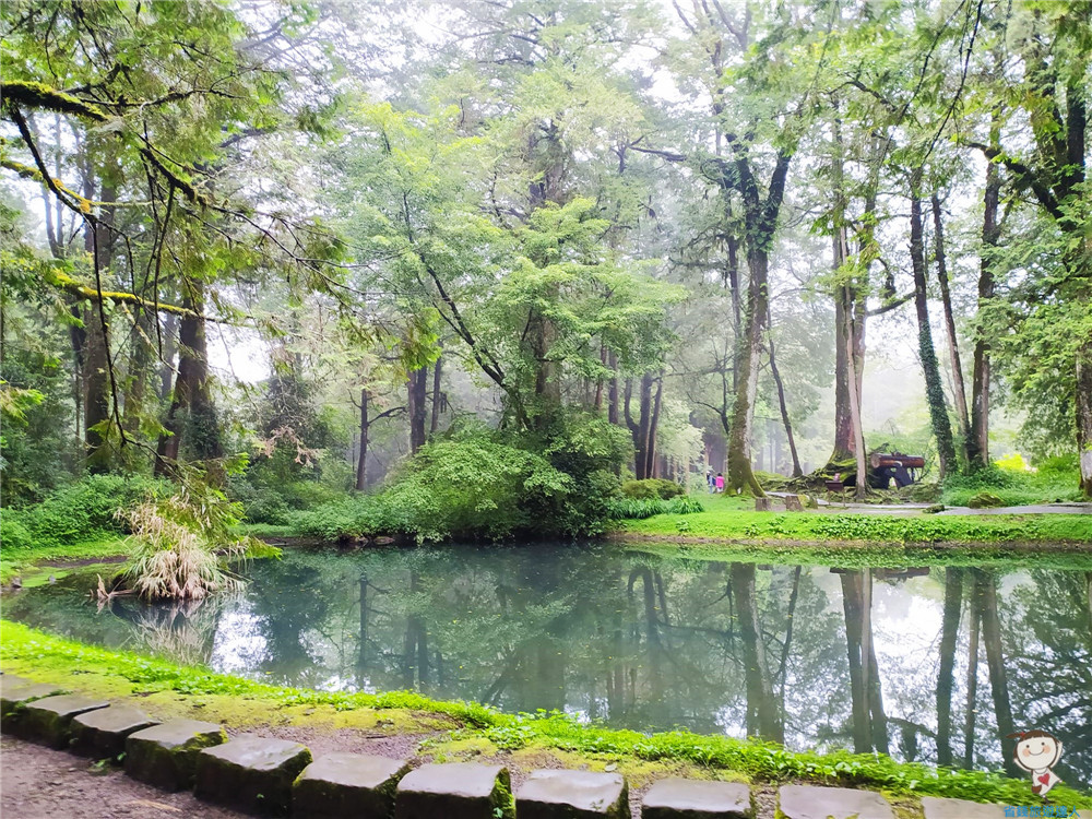 阿里山