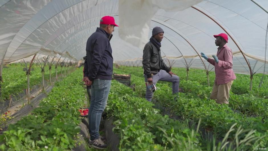 Migrant workers in Puglia, Italy | Source: Screeshot DW Documentaries