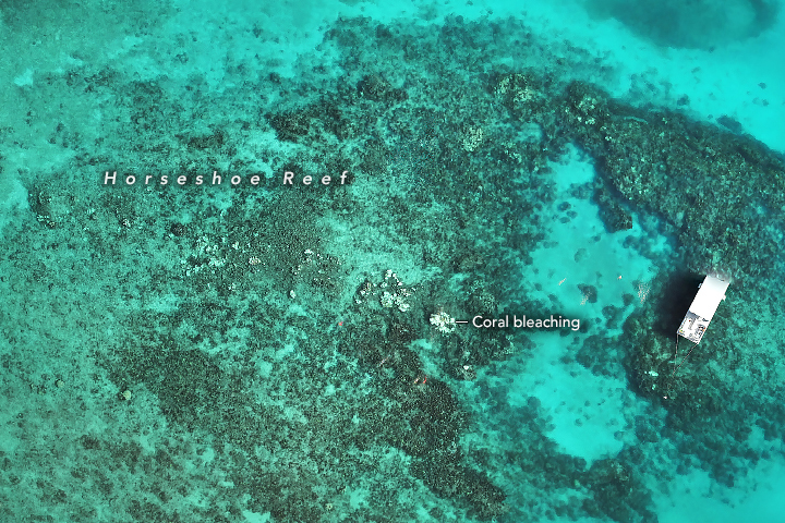 clear bright blue waters are shown, a white boat on the right. a whiter spot under water is highlighted as a coral bleaching among the greater horseshoe reef.