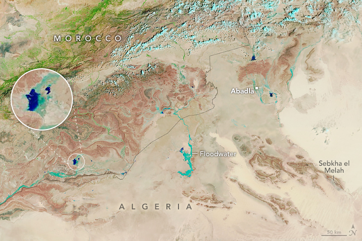 Satellite image of primarily beige landscape, a thin black line divides the image in a rough diagonal. The region above the line has a small amount of land appearing bright green and is labelled Morocco. The region below is labelled Algeria. In the middle right the town Abadla is labelled, in the lower right corner is Sebkha el Melah, where some topography shows through the sands. The Image centers on turquoise blue water pooling floodwater. There are also dark blue waters further left that are zoomed in on.