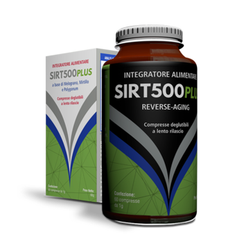 sirt500.com