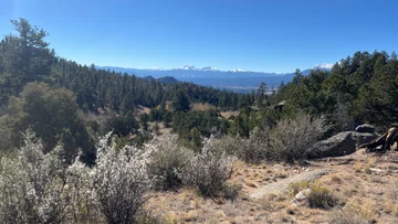 BCNM's Middle Cottonwood Creek.