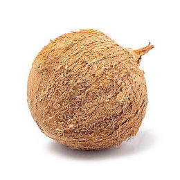 Brown Coconut