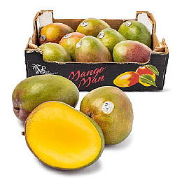 Mango