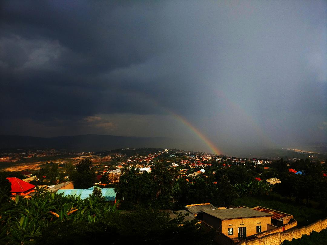 Article : Un arc-en-ciel avec un peu de naïveté dans ce monde de brutes