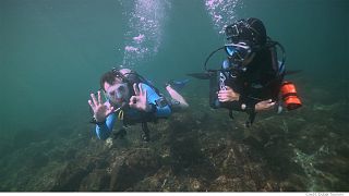 Plongée au coeur de la biodiversité marine de Dubaï