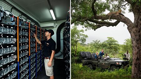 At Cheetah Plains in South Africa, safari tours are conducted in Toyota EV Land Cruisers powered by Telsa batteries.