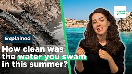 Bathing sites in the EU: How clean is the water?