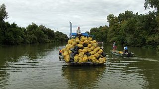 Feltartóztatható-e az óceánokba áramló, gigantikus mennyiségű műanyagszemét?